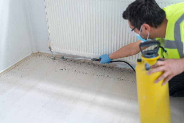 Best Best Pest Control Near Me  in Bastrop, TX